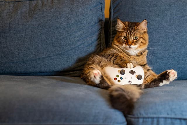 Les Meilleures Astuces pour Rendre Vos Parties de Jeux Inoubliables
